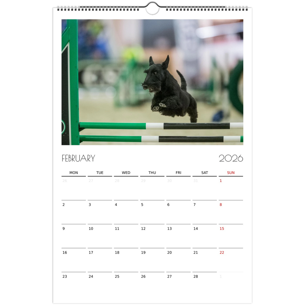 0a476b50-074a-4e46-b2ff-ebc0eed4c928