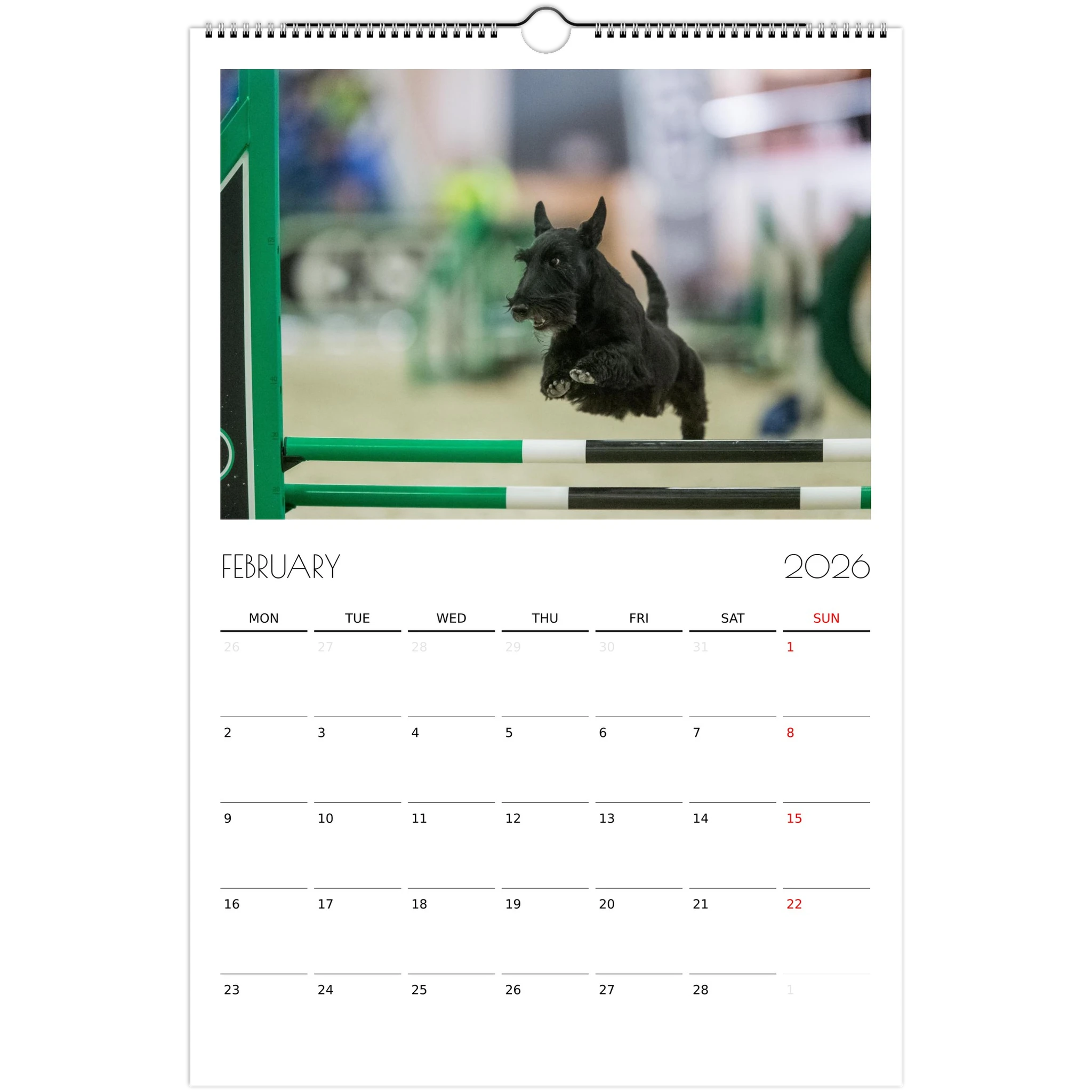 0a476b50-074a-4e46-b2ff-ebc0eed4c928