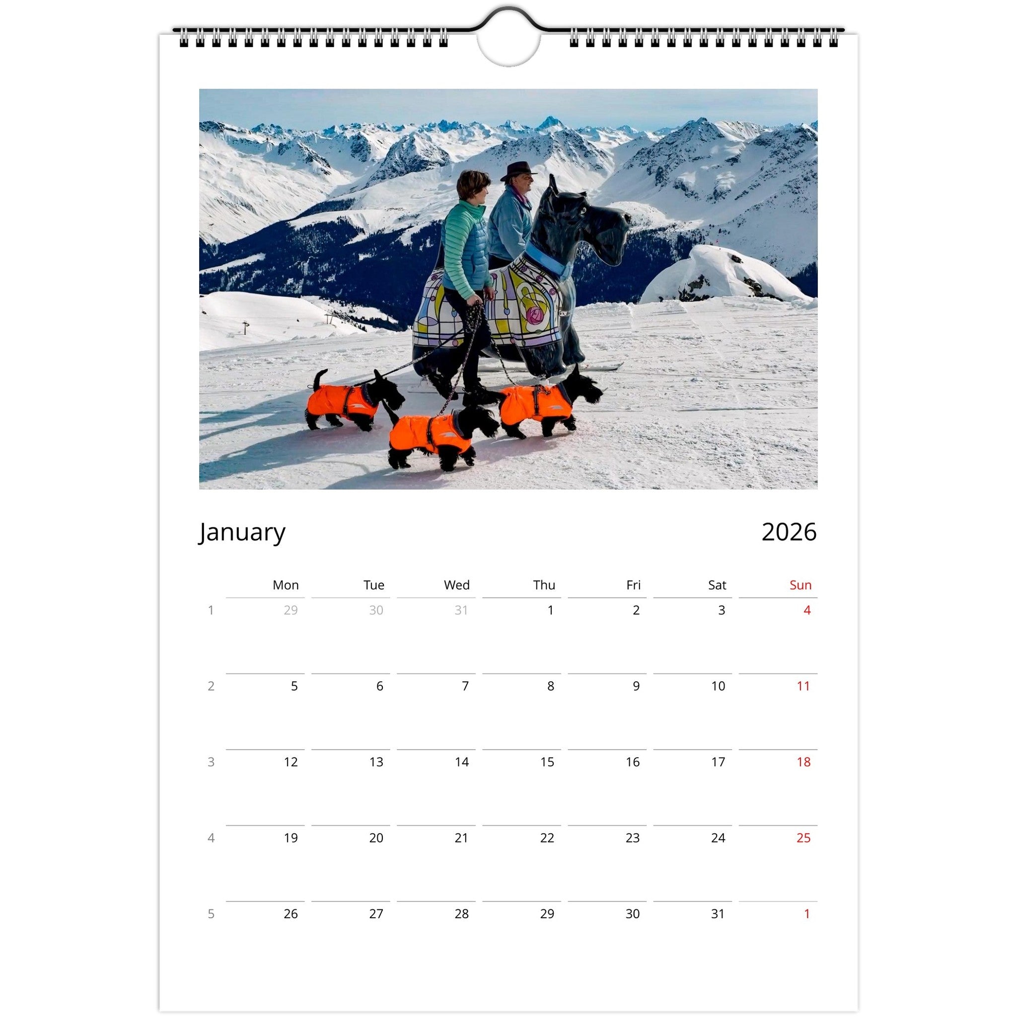 0bf67ca3-6dc0-4d26-ae11-162ddab84a83