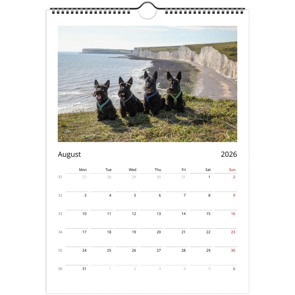 12c561ea-7bc8-46c9-8090-4e70a1d29b21