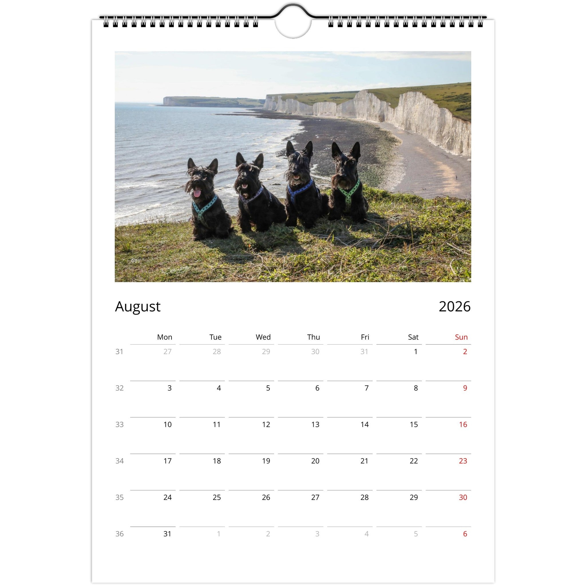 12c561ea-7bc8-46c9-8090-4e70a1d29b21