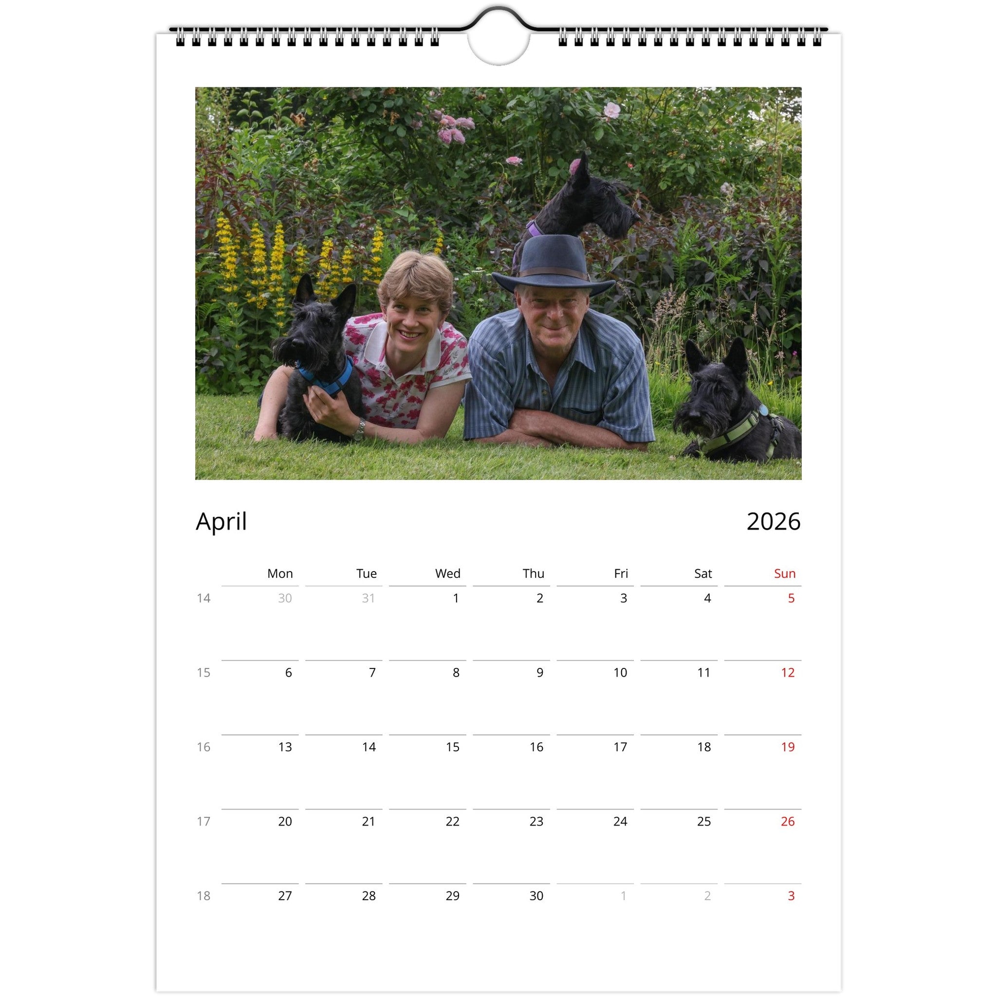 152c7a8c-8b67-47f2-b2d4-5c105b3e329d