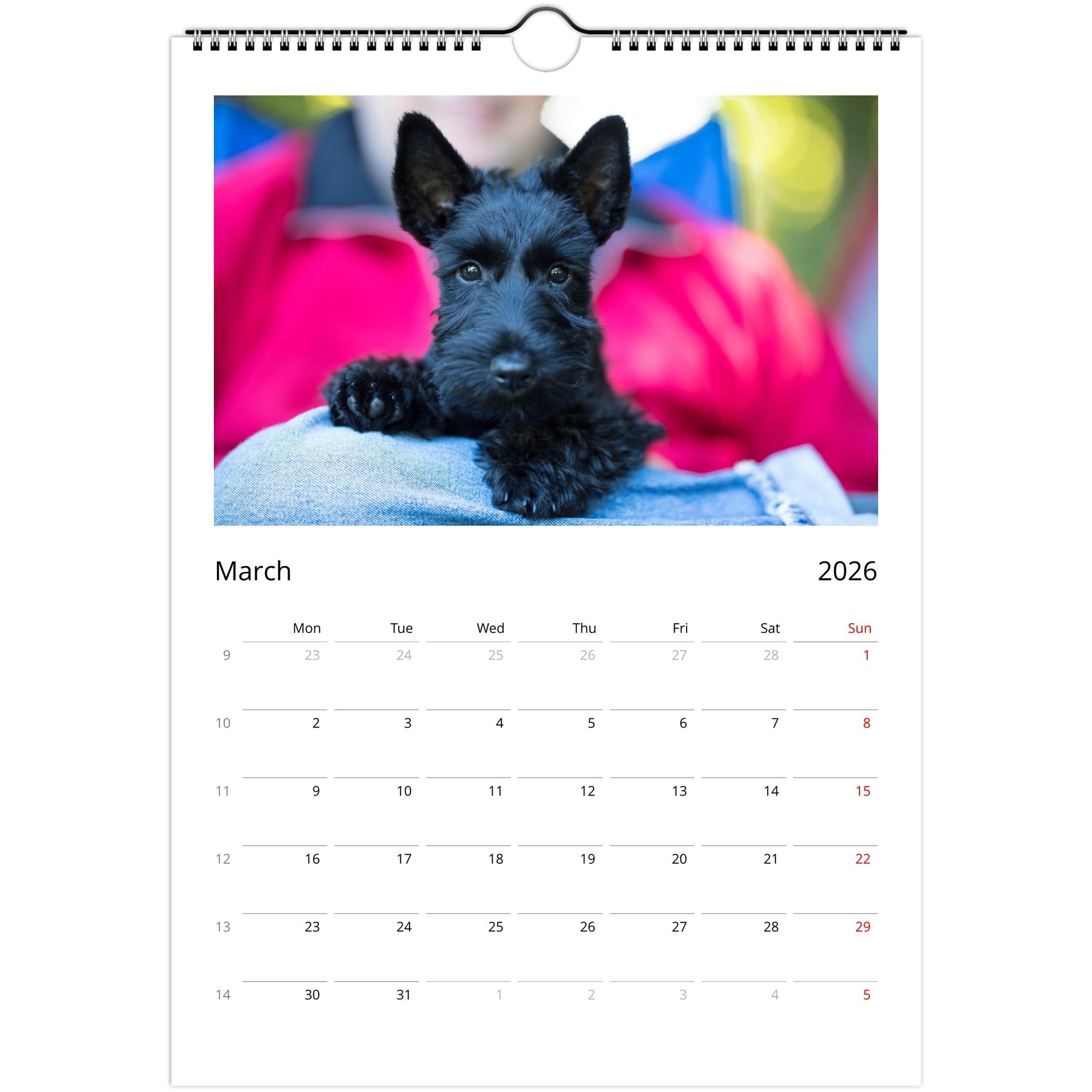 1ecfb773-6381-452a-adeb-dc8e09d43b12