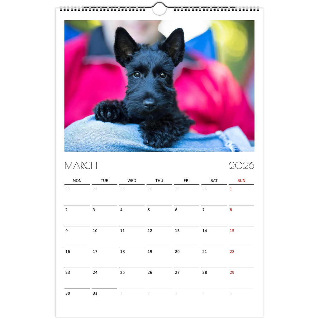 265776d2-79ba-407e-91a5-1ce8856d2660