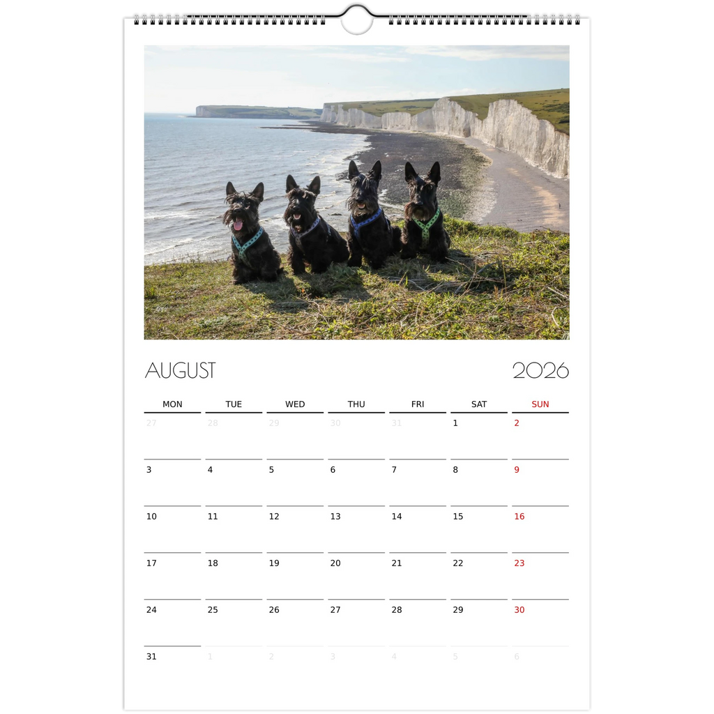 27e02028-638f-41d4-acc0-432f6f079af2