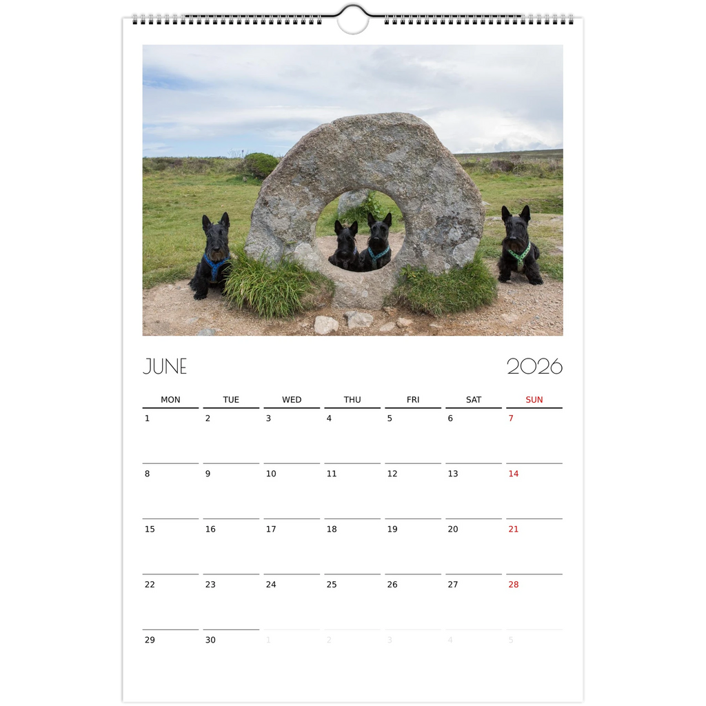 432a9d09-f36a-465b-ad59-85eb2f379cd8