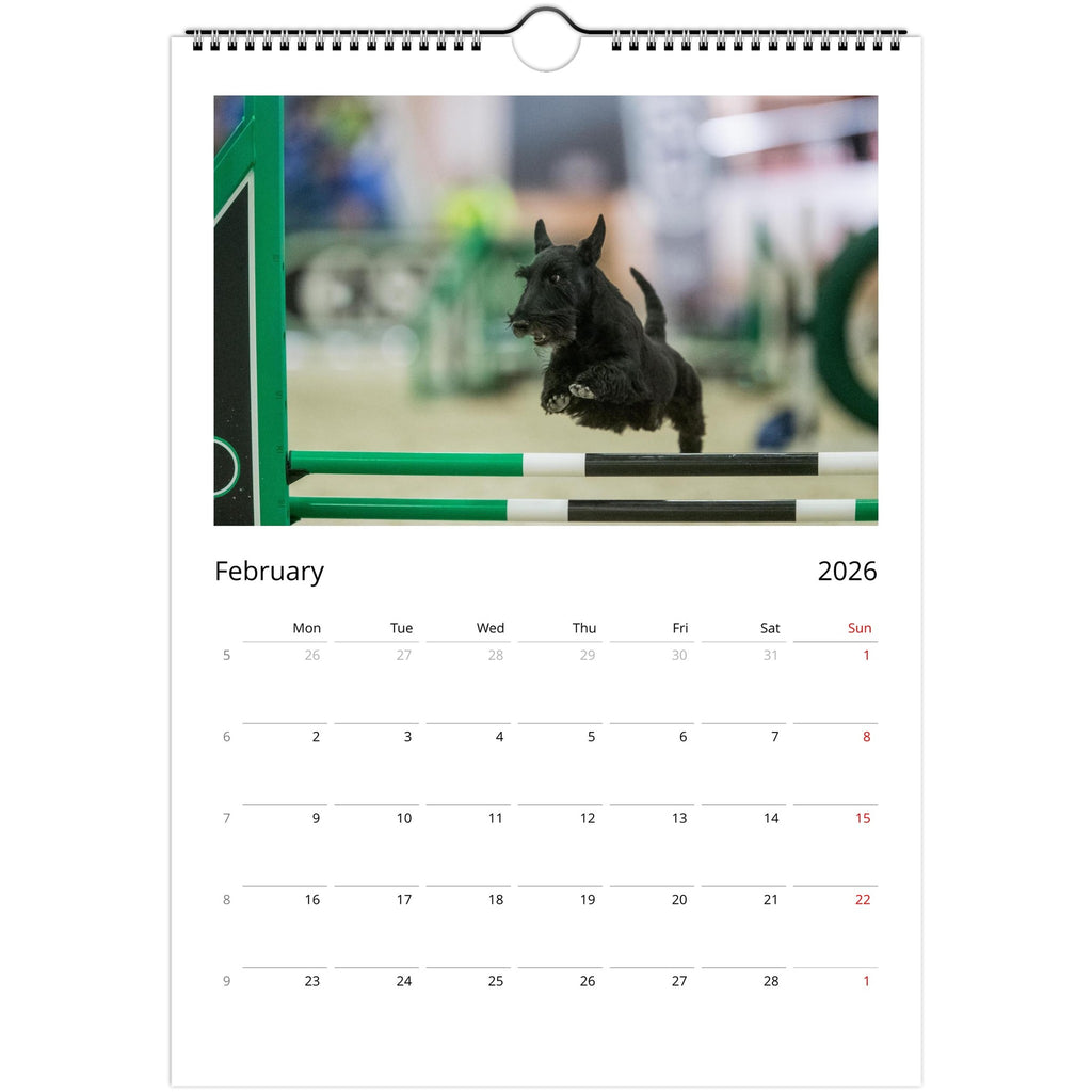 5351c31a-0f84-41db-8f64-bf2714ed3e22