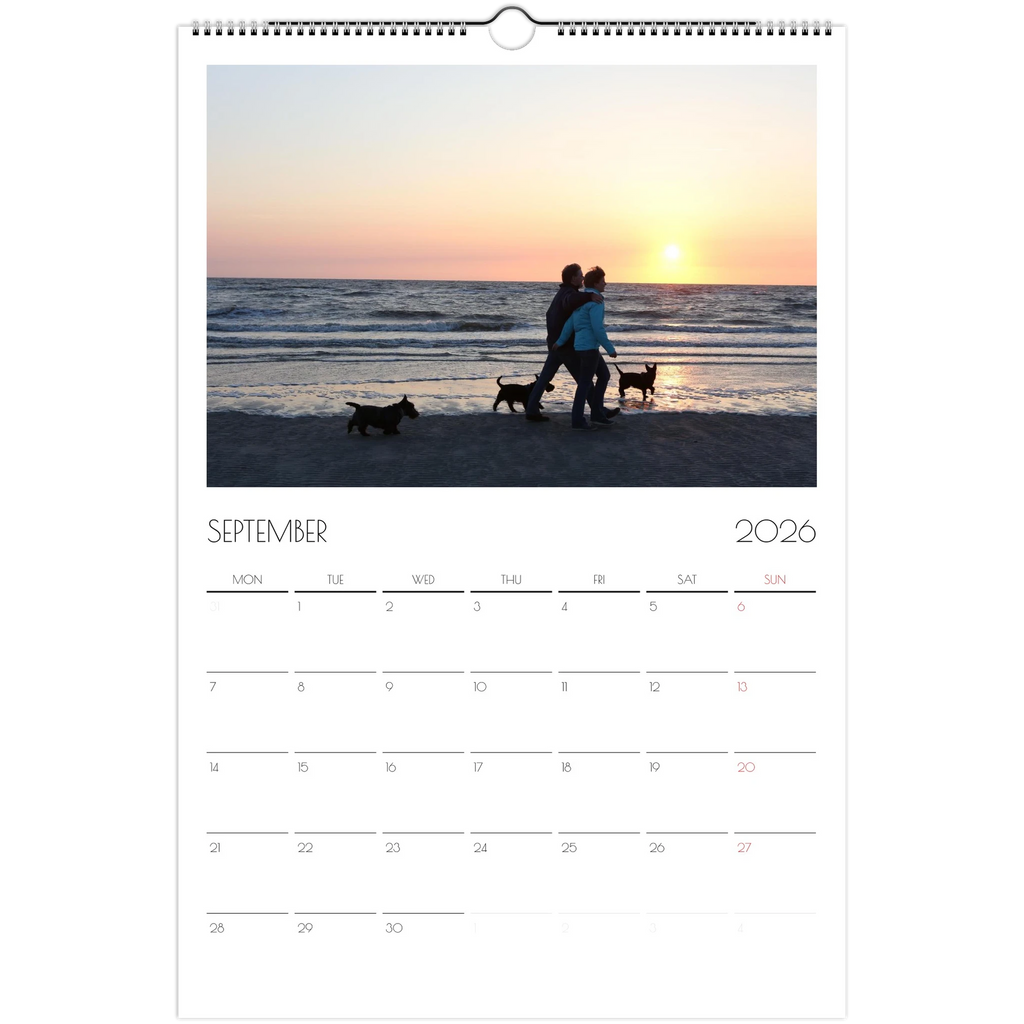 68fed0b0-b5c3-484a-9318-ee0f865e7e2d