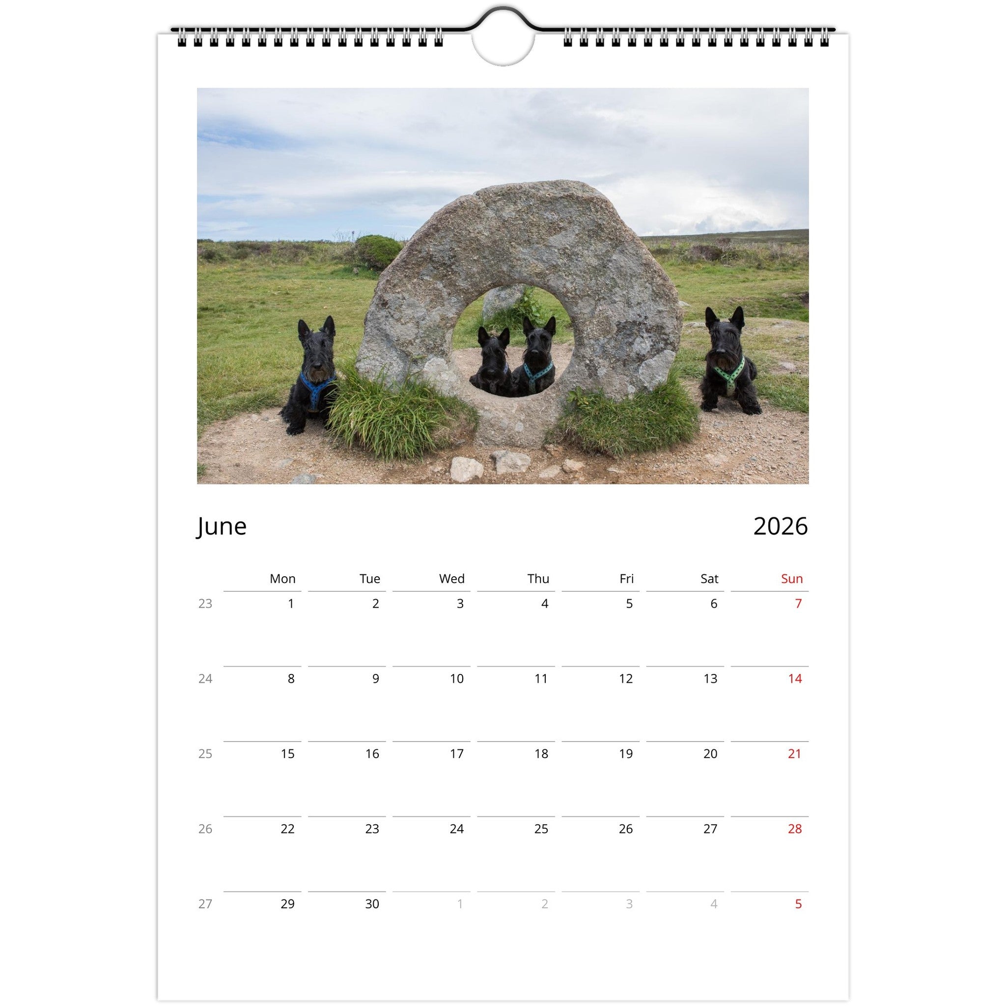 72b6d8ca-f4b2-4d66-8925-2fe1d5cc0689