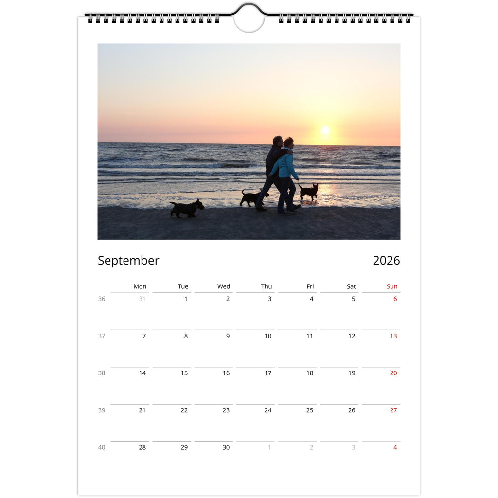 b8a0ad57-f7a7-49af-baae-7aefa4528501