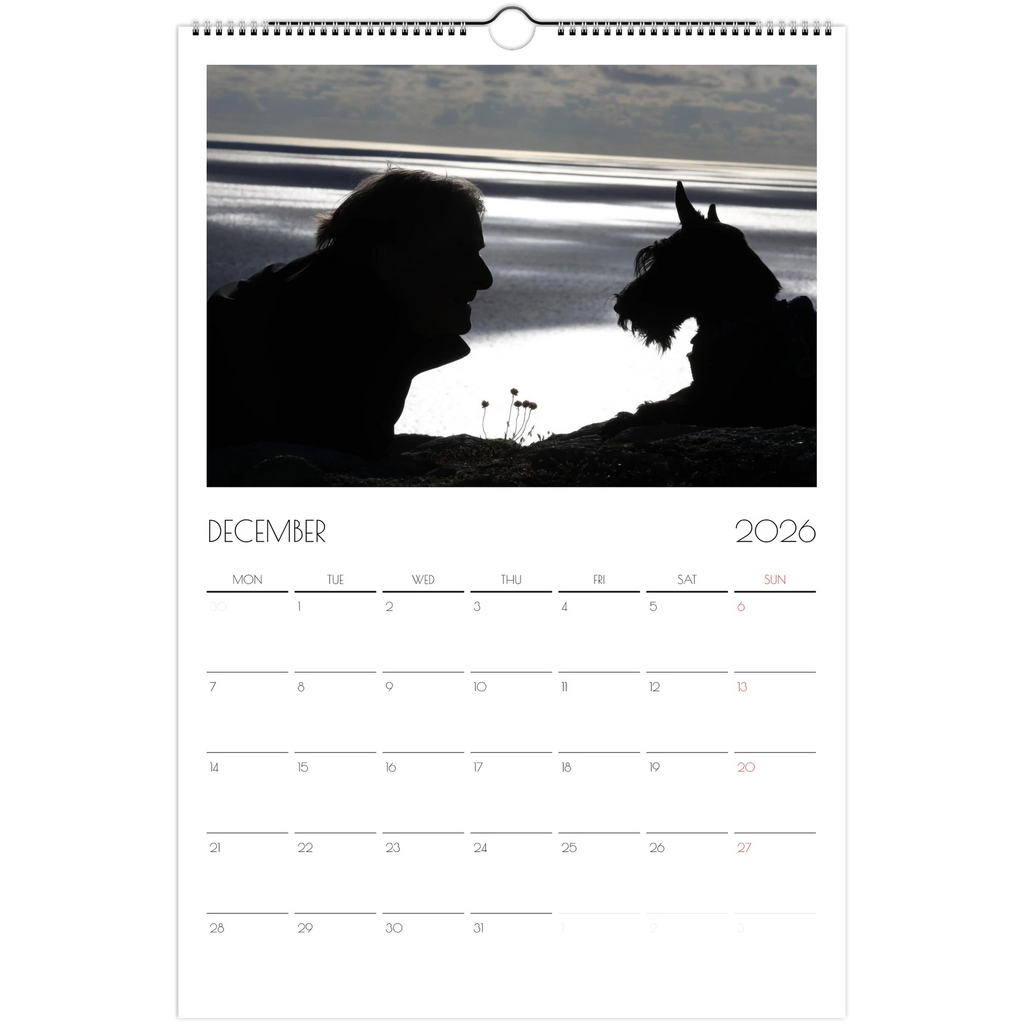 bb1819a7-8717-4221-bbd8-e2b8906683fe