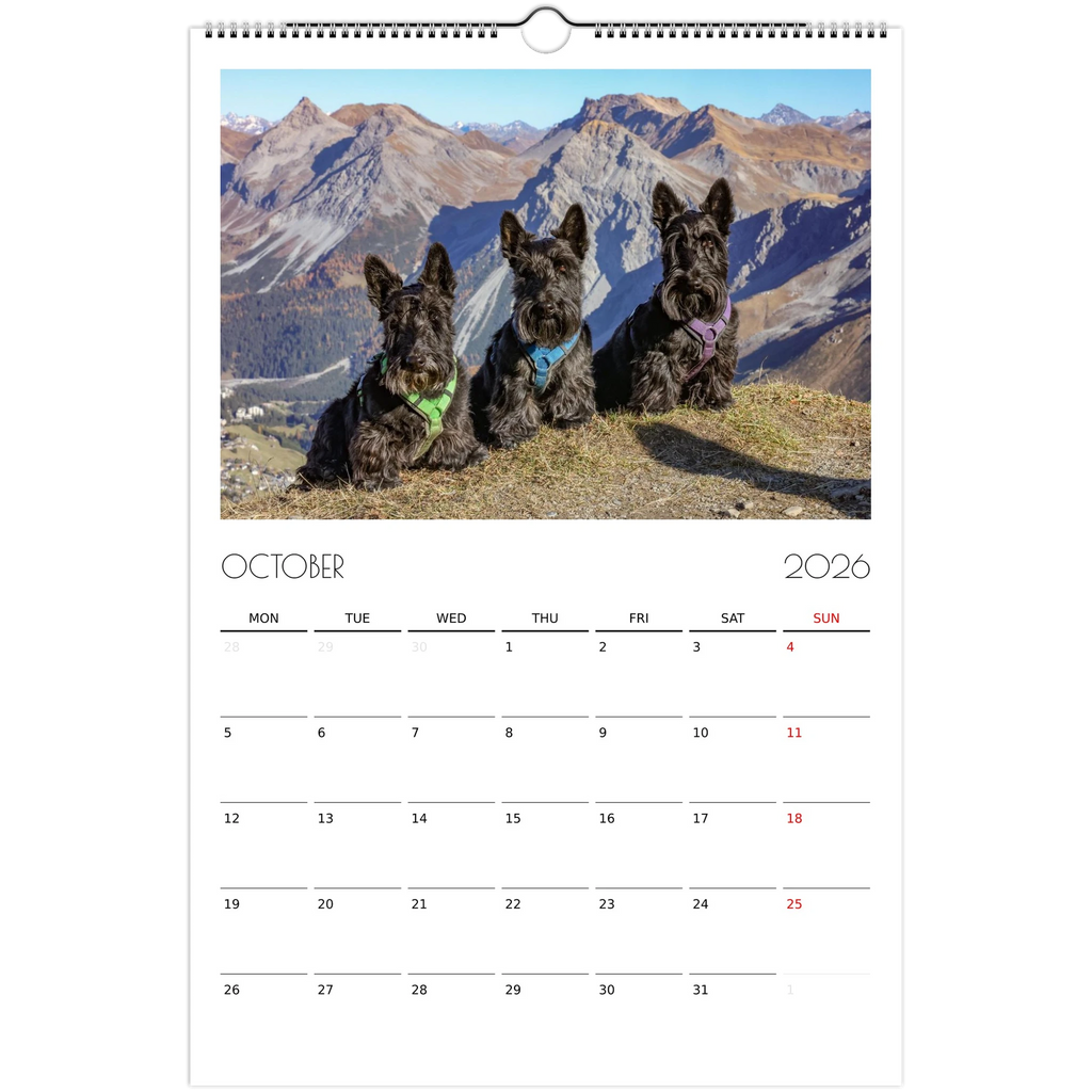 d9815cec-7ecb-4a79-a695-db7d586a7e7a