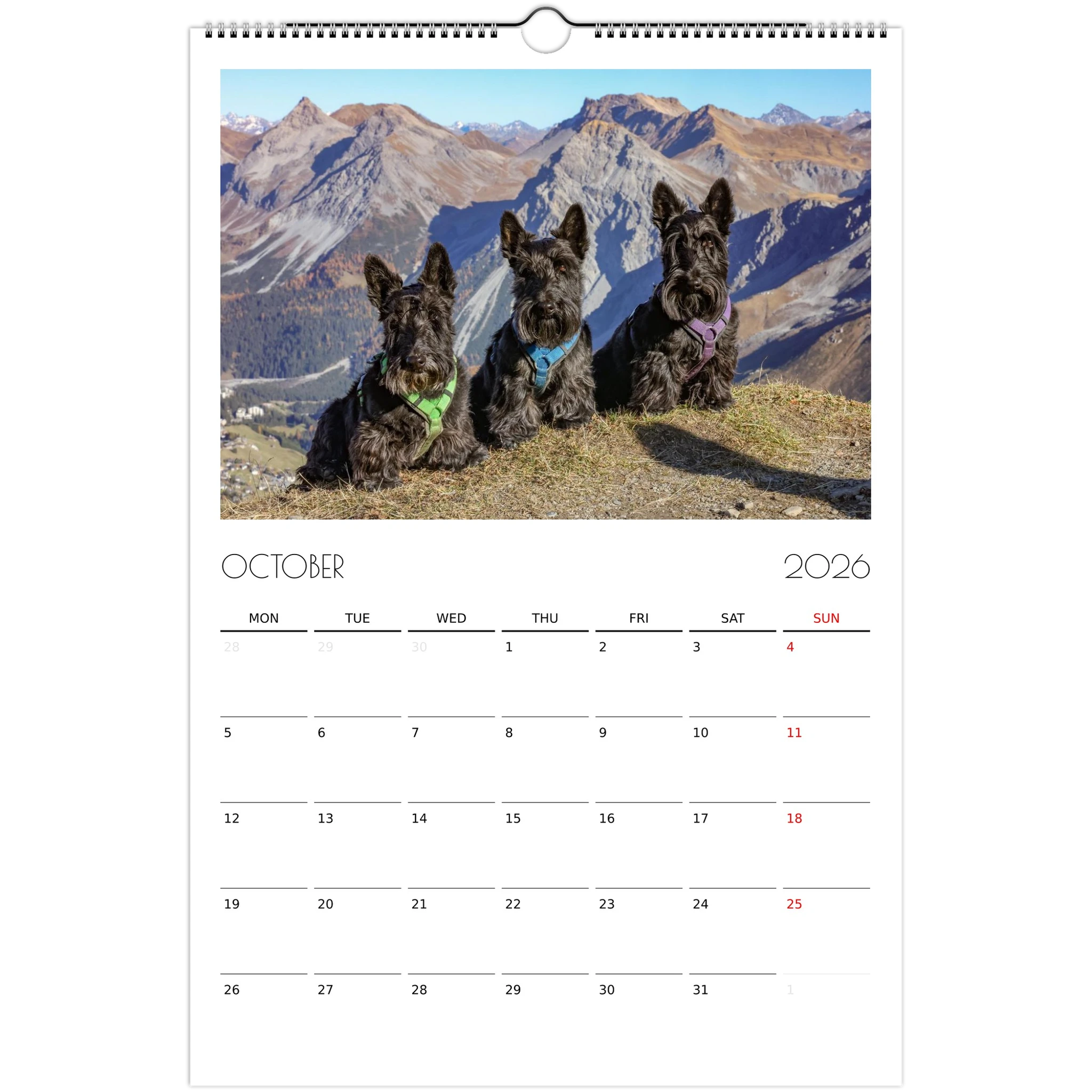 d9815cec-7ecb-4a79-a695-db7d586a7e7a