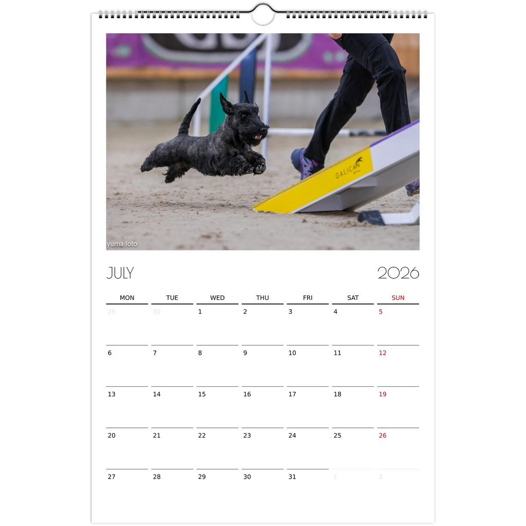 dea650da-af93-43b2-81a5-cb2cf0e1f91f