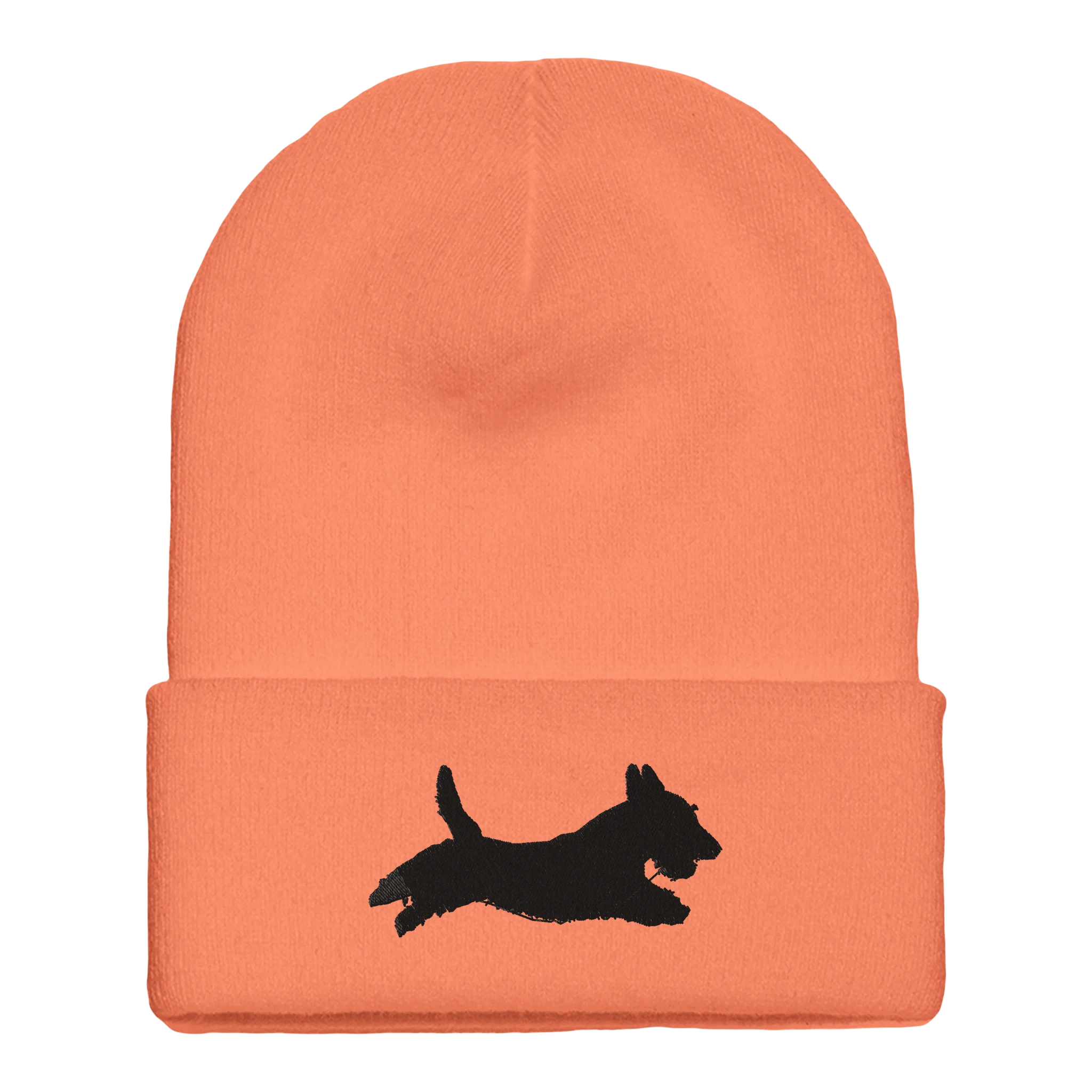 e01056ba-b6dc-4fd6-aa4f-c961f9e69867