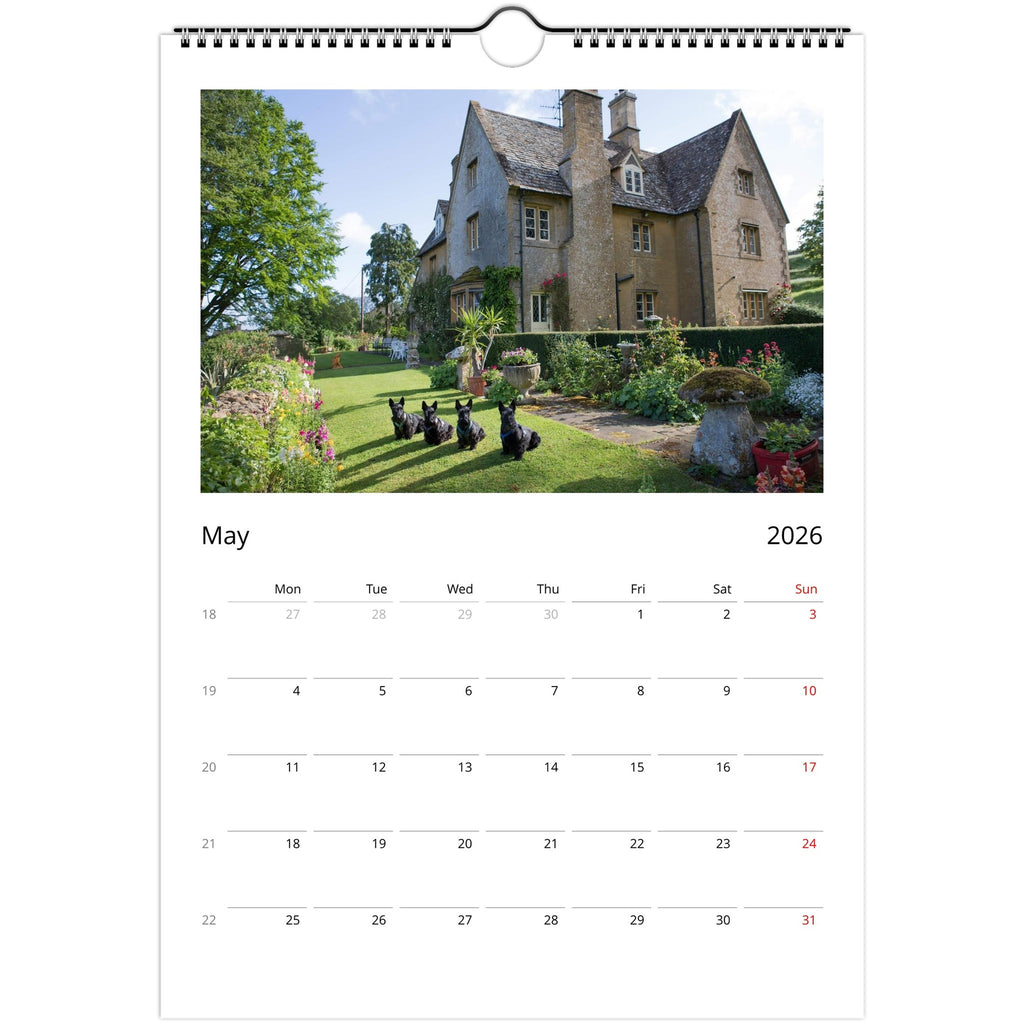 e0ad8acb-9069-4481-a009-fb44d5c35845